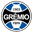Grêmio Academy