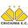 Criciúma Academy