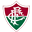 Fluminense Academy